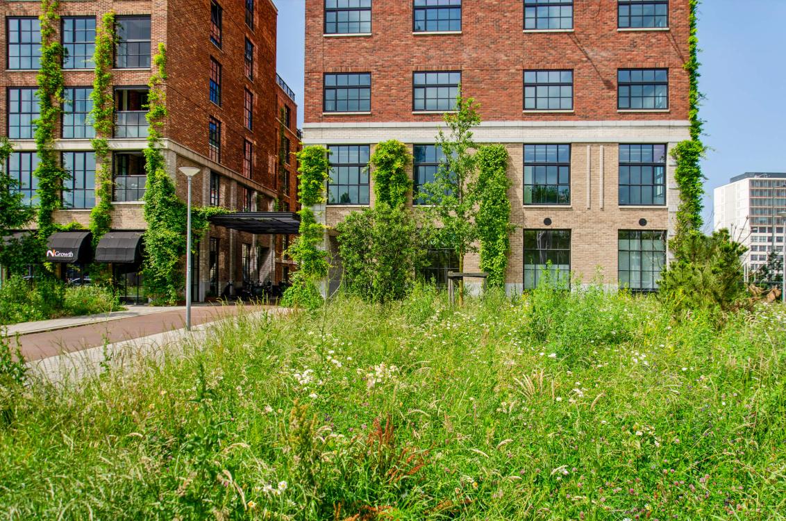 Zakelijke investeringen in vastgoed bij Overbrugging